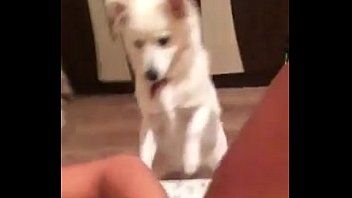 play Masturbação anal xxx com uma aluna de Iasi